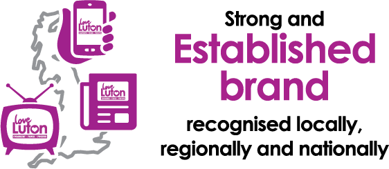 Established Brand Infographic 2
